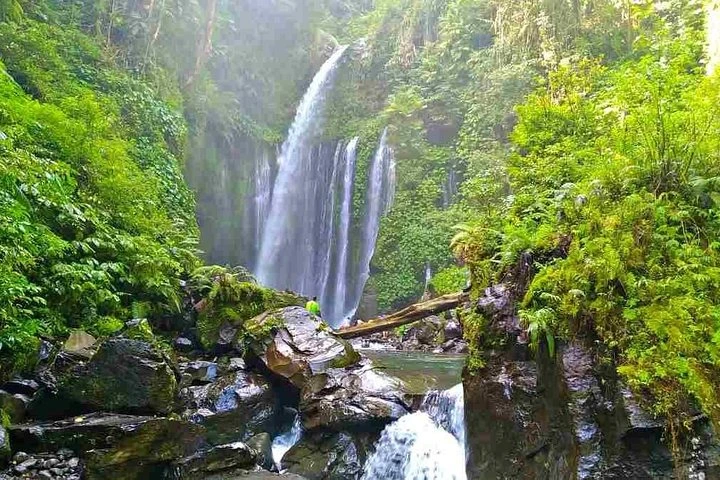 A tall waterfall falling into green forest in northern Lombok
